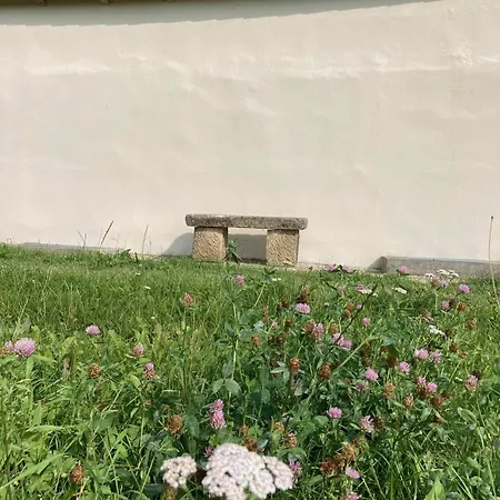 Lindenhof Michaelis - Urlaub Auf Dem Historischen Gutshof Apartmán *