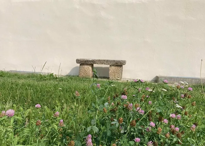 Lindenhof Michaelis - Urlaub Auf Dem Historischen Gutshof Apartment *